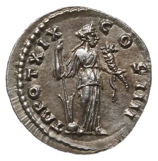 denar 155-156, Rzym