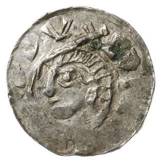 denar, Bardowik; popiersie w lewo , BERNHARDVS D