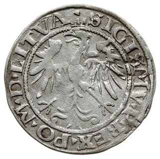 grosz 1536/F, Wilno; odmiana z literą F pod Pogo