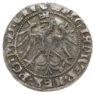 grosz 1536, Wilno; pod Pogonią litera M; Ivanaus