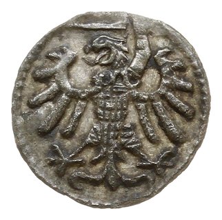 denar 1539, Gdańsk