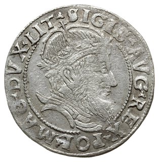 grosz na stopę litewską 1555, Wilno