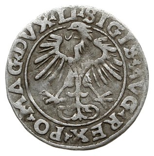 półgrosz 1554, Wilno; końcówki napisu LI/LITVA; 