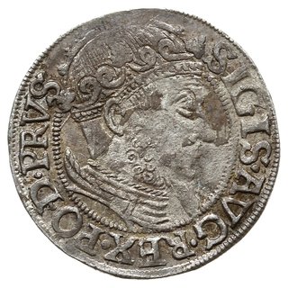 grosz 1557, Gdańsk; typ z dużą głową króla i koń