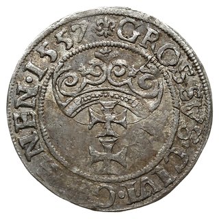 grosz 1557, Gdańsk; typ z dużą głową króla i koń
