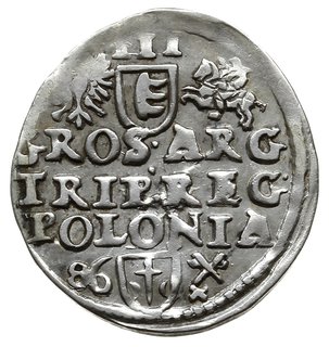 trojak 1586, Poznań