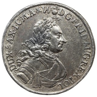 talar 1704, Drezno; odmiana z płaszczem króla za