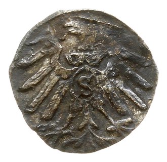 denar 1559, Królewiec; Slg. Marienburg 1227, Neu
