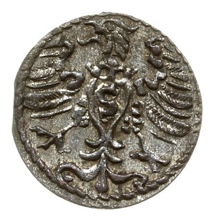 denar 1571, Królewiec
