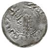 denar 1002-1024; Głowa w koronie w prawo / dłoń opatrzności; Dbg 951, Kluge 84; srebro 23 mm, 1.06 g