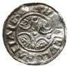 denar 1018-1035; Spirala zwężająca się w prawo / krzyż utworzony z czterech łuków wypełnionych kul..