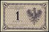 1 złoty 28.02.1919, seria 36 E, numeracja 005349; Lucow 563 (R3), Miłczak 47b; idealny egzemplarz