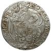 talar lewkowy (Leeuwendaalder) 1648, znak mennic