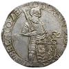 talar (Rijksdaalder) 1662; Dav. 4844, Delm. 975, Purmer Ze48; srebro 28.15 g, bardzo ładny