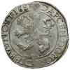 talar lewkowy (Leeuwendaalder) 1653, rycerz stojący w lewo z głową zwróconą do tyłu, znak menniczy..