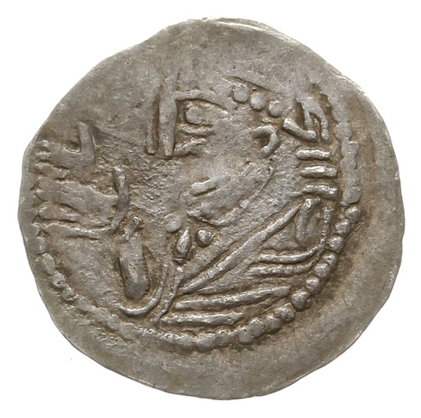 denar z lat 1253-1257, Poznań