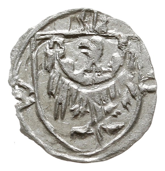 halerz miejski ok. 1430-1440, Wołów; Aw: Głowa w