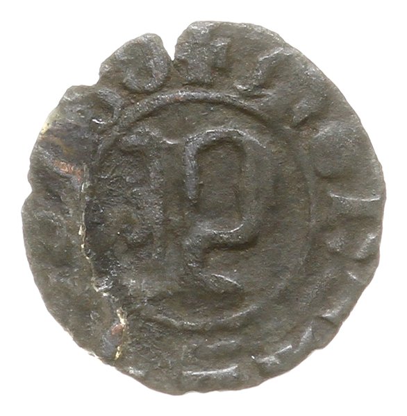 halerz miejski po 1381, Opawa; Aw: Litera P z kr