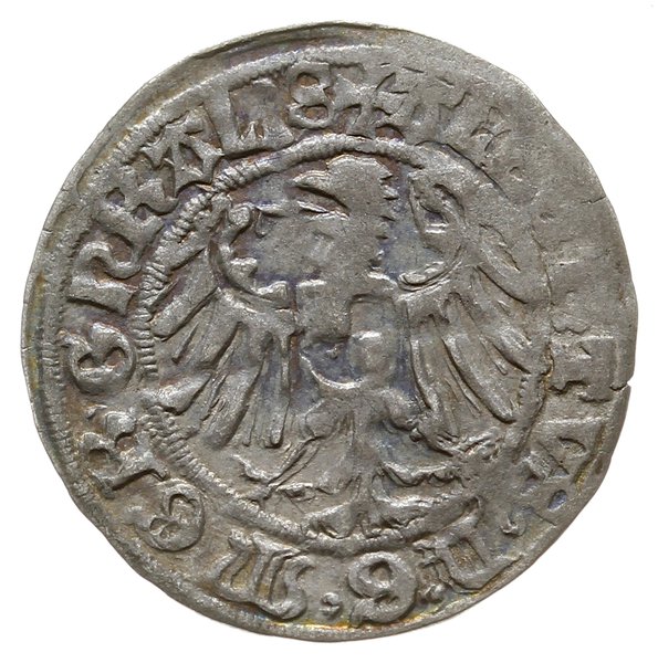 grosz 1517