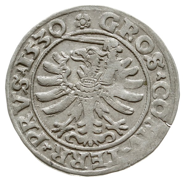 grosz pruski 1530, Toruń