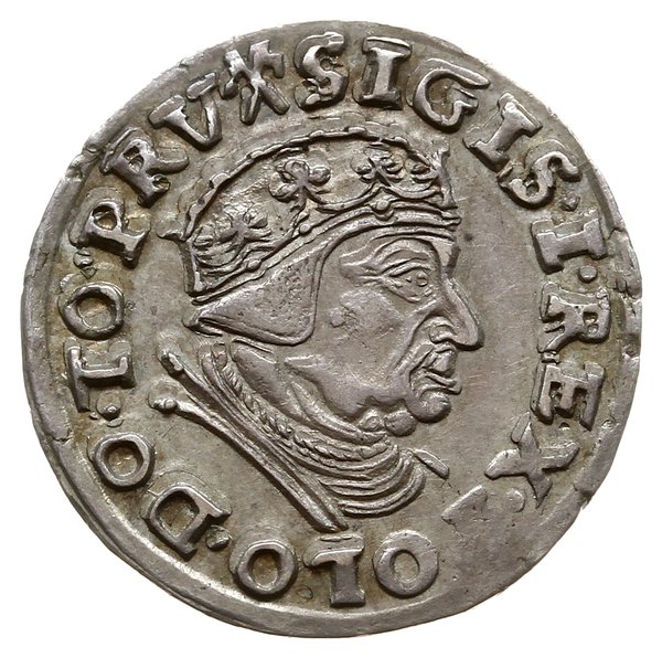 trojak 1539, Gdańsk; Iger G.39.1.c (R1), Kop. 73