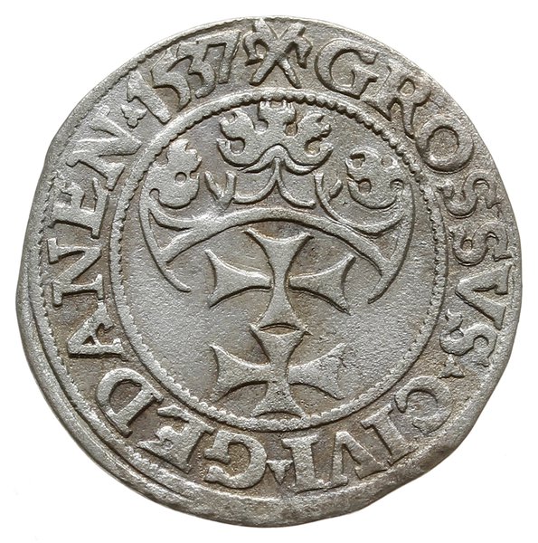 grosz 1537, Gdańsk; głowa króla w czepcu pod kor