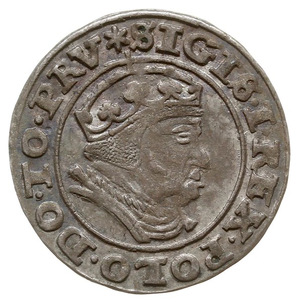 grosz 1540, Gdańsk; na awersie PRV kończy napis;