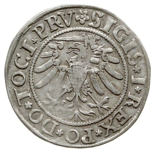 grosz 1533, Elbląg