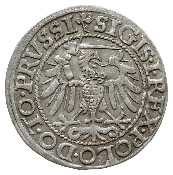 grosz 1540, Elbląg; na awersie PRVSSI kończy nap