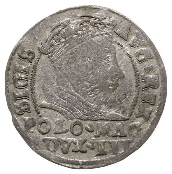grosz na stopę polską 1546, Wilno; data na końcu
