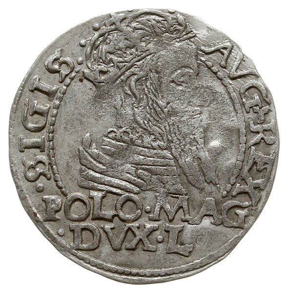 grosz na stopę polską 1566, Wilno; odmiana z her