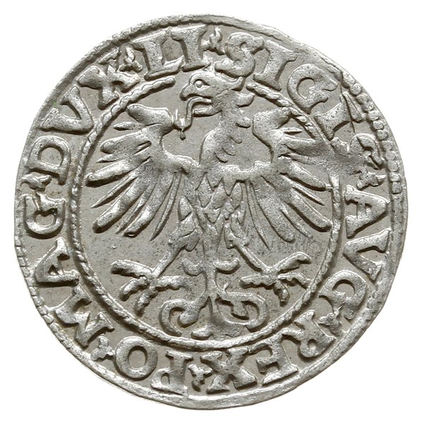 półgrosz 1554, Wilno; Kop. 3246 (R5), Tyszkiewic