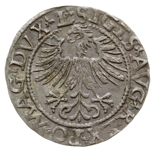 półgrosz 1562, Wilno; odmiana z herbem Topór pod