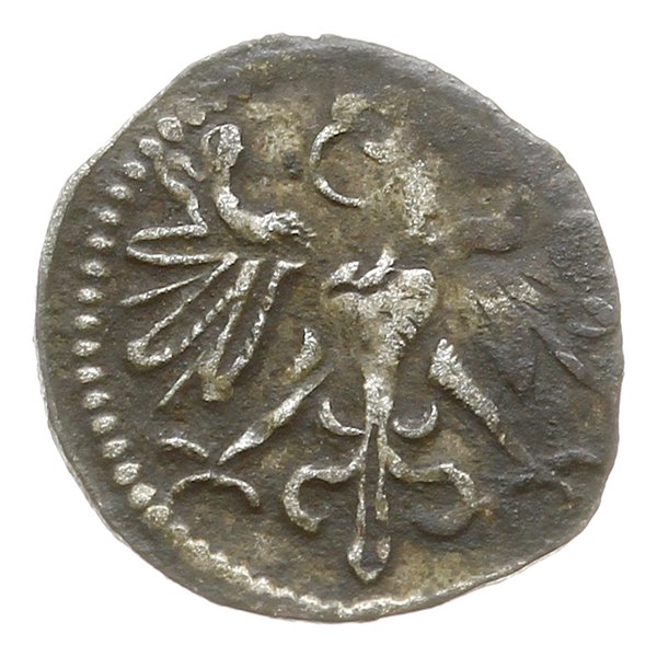 denar 1551, Wschowa
