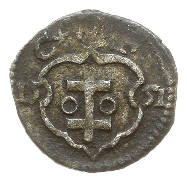 denar 1551, Wschowa