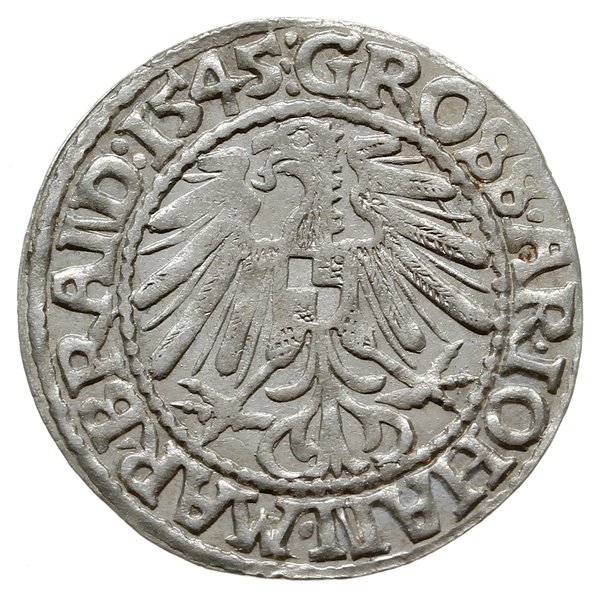grosz 1545, Kostrzyń
