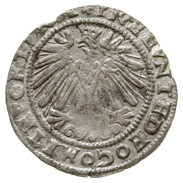 grosz 1569, Bielsko