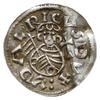 denar 1012-1034, mennica Praga; Aw: Popiersie z 