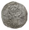 anonimowy denar srebrny z początku XV w.; Aw: Głowa wołu z, między rogami gwiazda, po lewej rozetk..