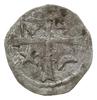 anonimowy denar srebrny z początku XV w.; Aw: Głowa wołu z, między rogami gwiazda, po lewej rozetk..