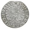 grosz 1610, Wilno; Kop. 3491 (R), Ivanauskas’09 3SV68-18; typ monety bity z walca, lekko przycięty..