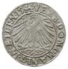 grosz 1544, Brzeg; F.u.S 1363; piękny z dużym blaskiem menniczym