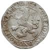 talar lewkowy (Leeuwendaalder) 1652; znak menniczy: lilia, głowa na awersie w prawo; Delm. 825, Da..