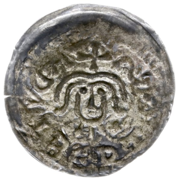 denar do 1239, Gniezno; Popiersie z bujną fryzur