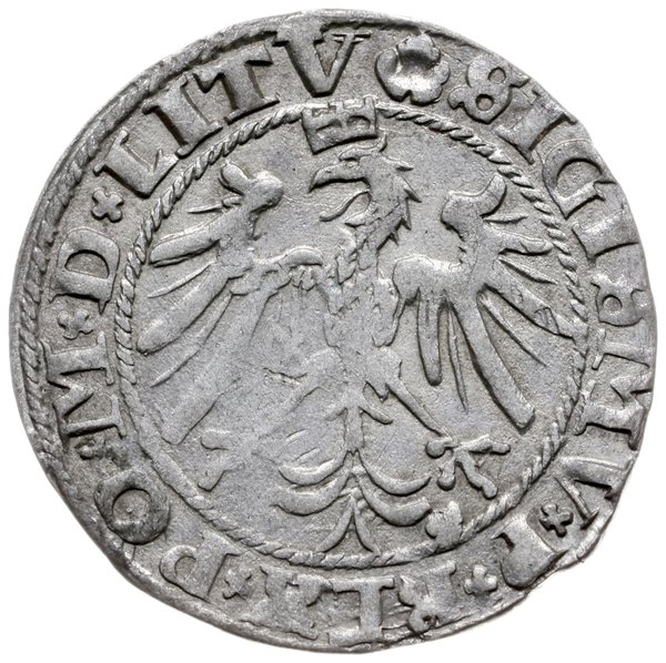 grosz 1536/I, Wilno