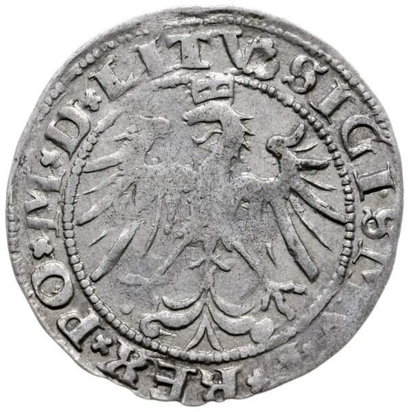 grosz 1536/A, Wilno; odmiana z literą A pod Pogo