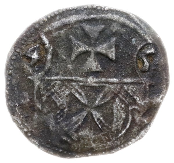 denar 1545, Elbląg