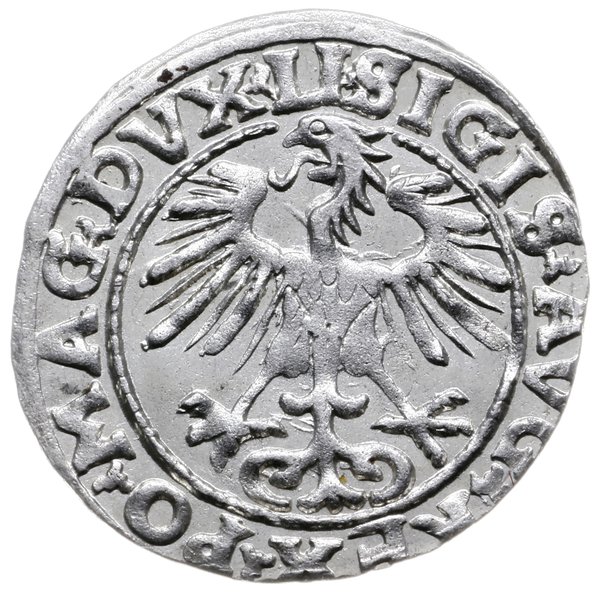 półgrosz 1554, Wilno; Kop. 3246 (R5), Cesnulis-I