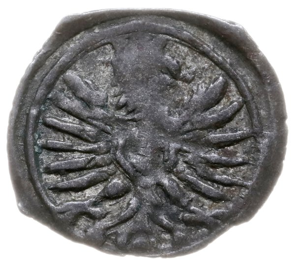 denar 1604, Poznań