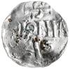 denar 1002-1014, Kolonia; Aw: Krzyż z kulkami w 